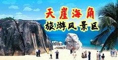 东京鸡巴操逼网海南三亚-天崖海角旅游风景区